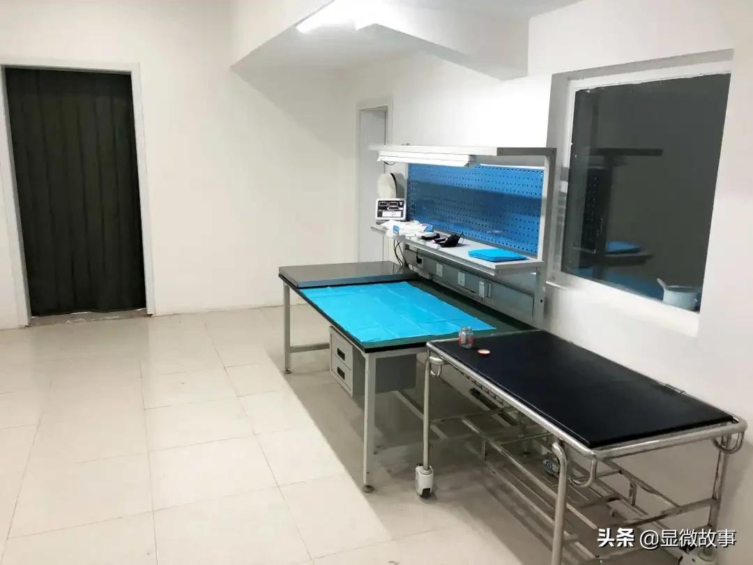 揭秘宠物殡葬：我设计了6487个骨灰盒，只为了帮它体面离开