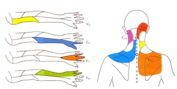 胳膊疼抬不起来理疗手法,胳膊疼的抬不起来怎样锻炼