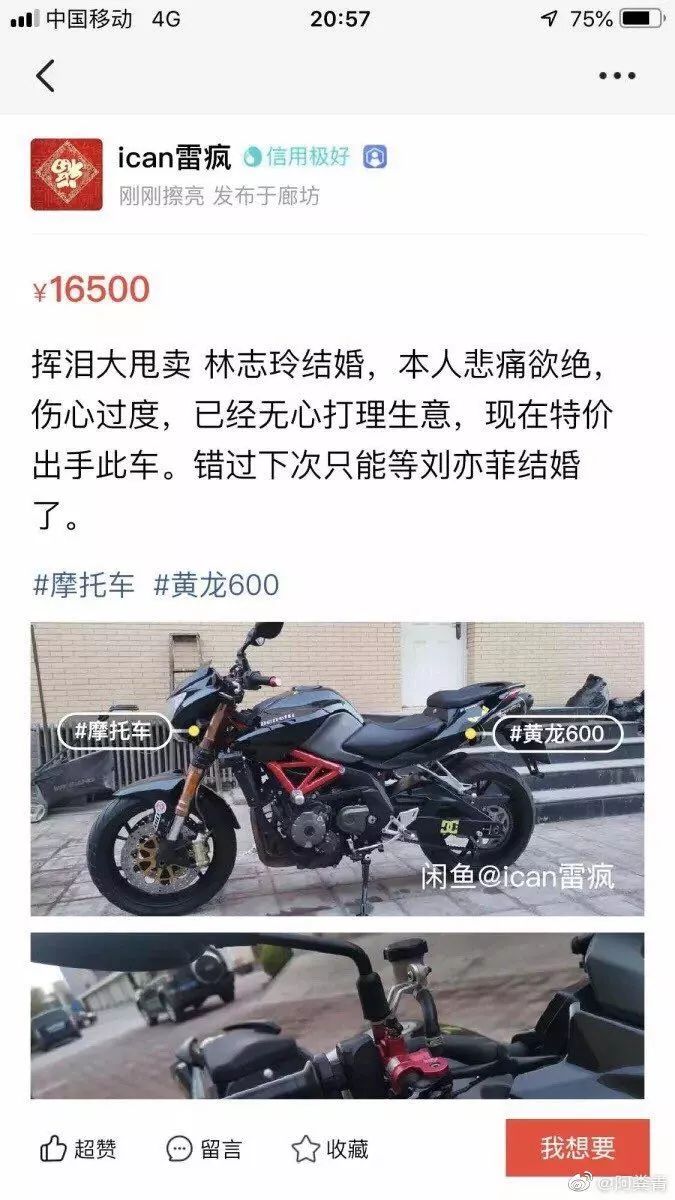 林志玲和日本丈夫近况,林志玲日本老公现状