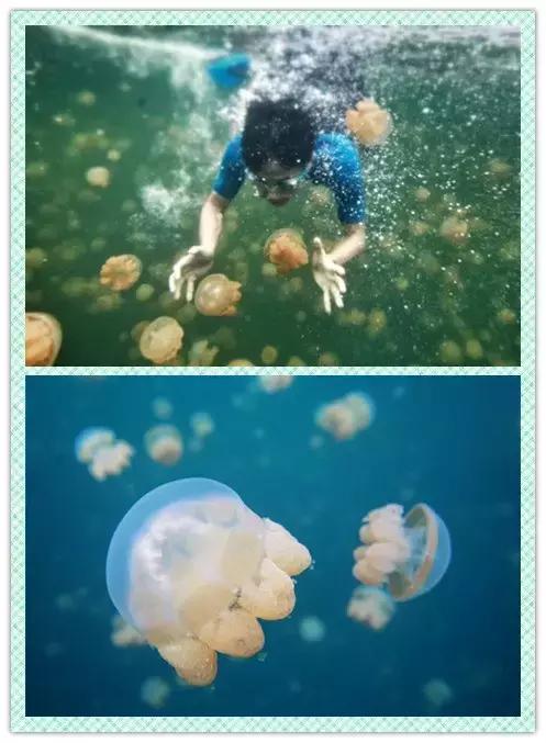 帕劳和斐济哪个好玩一点,帕劳vs斐济