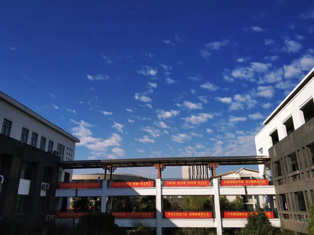 中考美术|关于2020年杭州市区普通高*特中**色班招生工作的通知