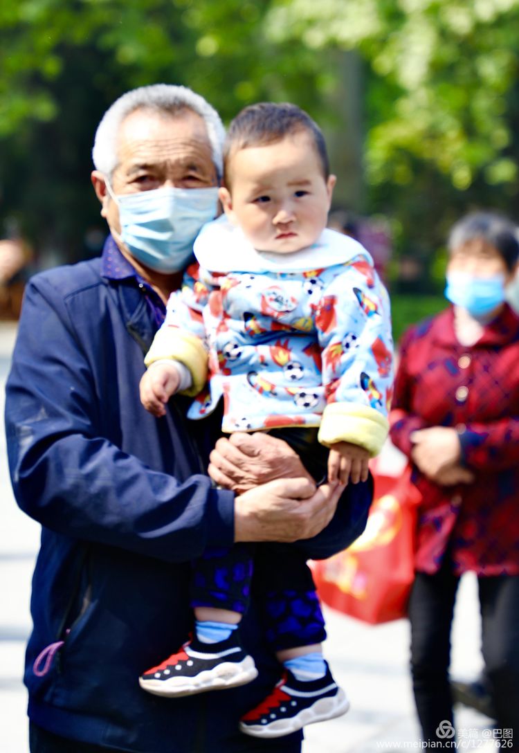 看洛阳牡丹花卉节,洛阳古都牡丹花展