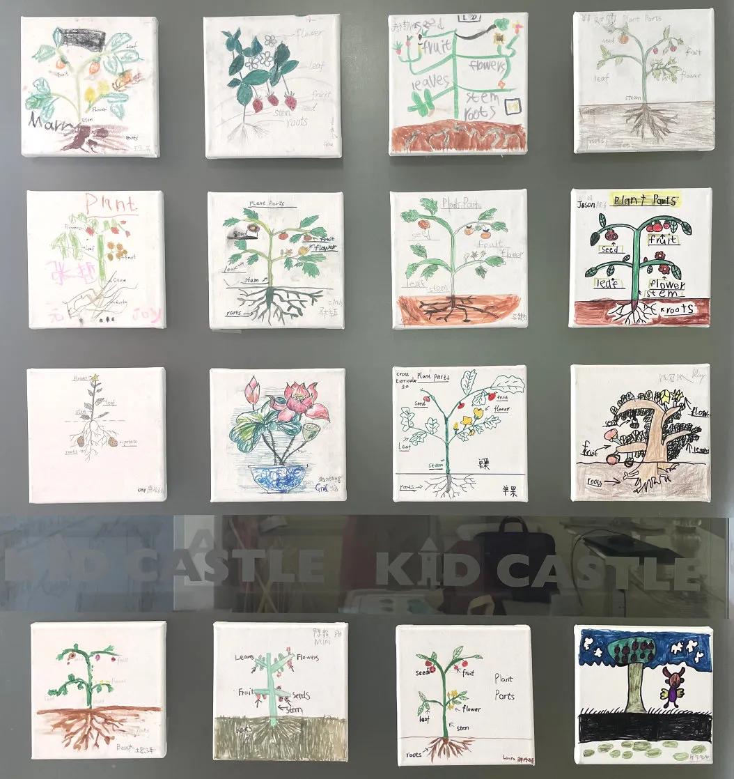 吉的堡英语的教育理念,吉的堡引领少儿英语教育