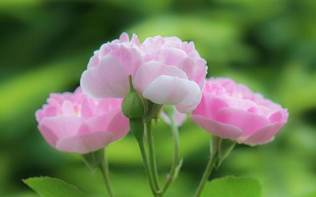 吵架了怎么破冰恢复联系,吵架好了怎么破冰