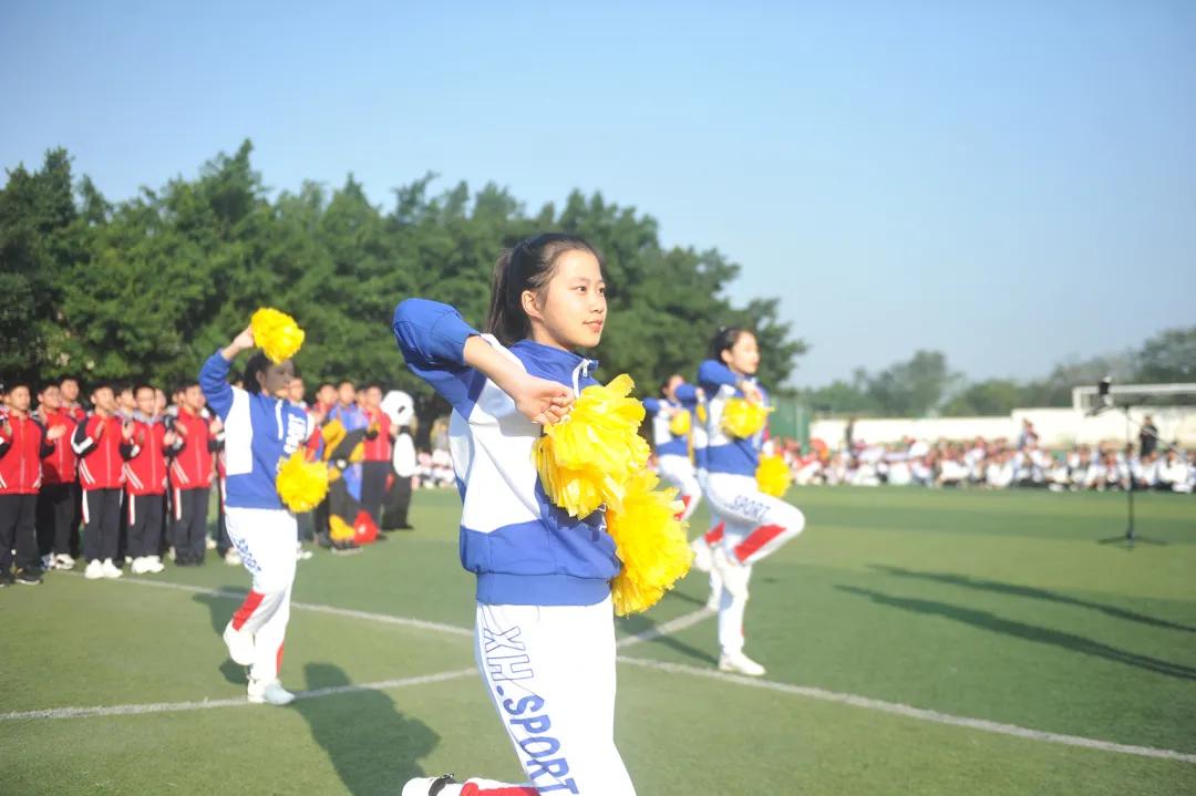 天府路小学秋季运动会,2019年成都市天府新区运动会