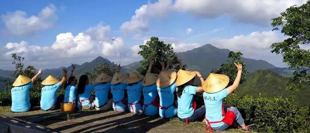 浙江茶艺师培训：全国一二级茶艺师培训班招生，各等级长年报名中