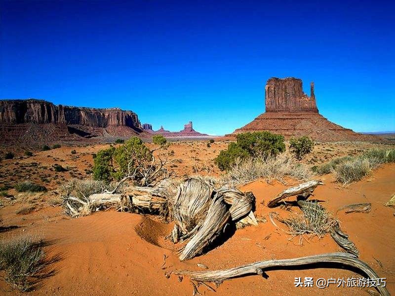 美军单兵野外生存技巧,美军野外生存装备清单
