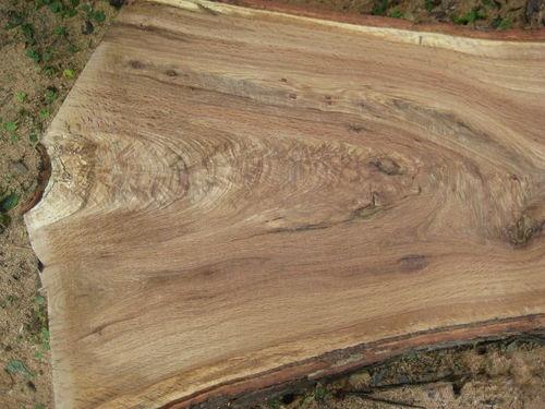 你不知道的美国产品,你不知道的美国