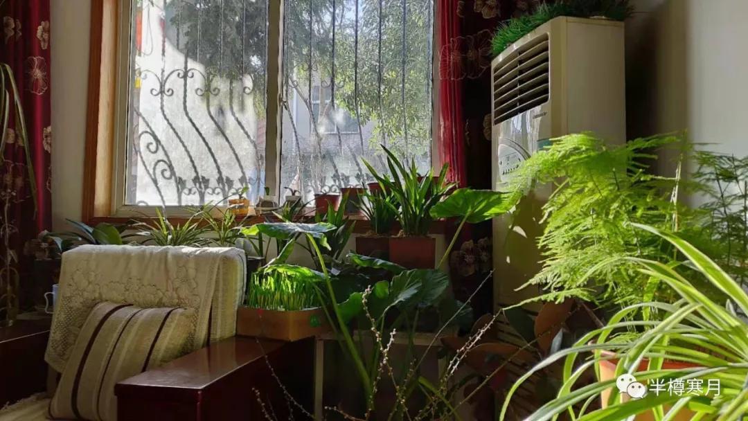 我的2020，有风有雨有晴天