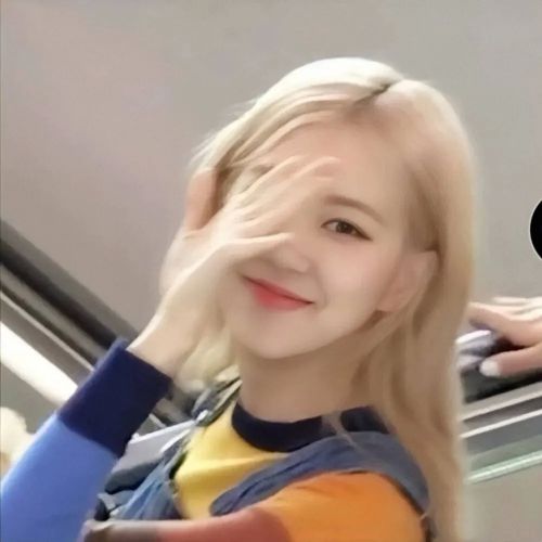 rose朴彩英头像壁纸,rose澳洲野玫瑰动态壁纸