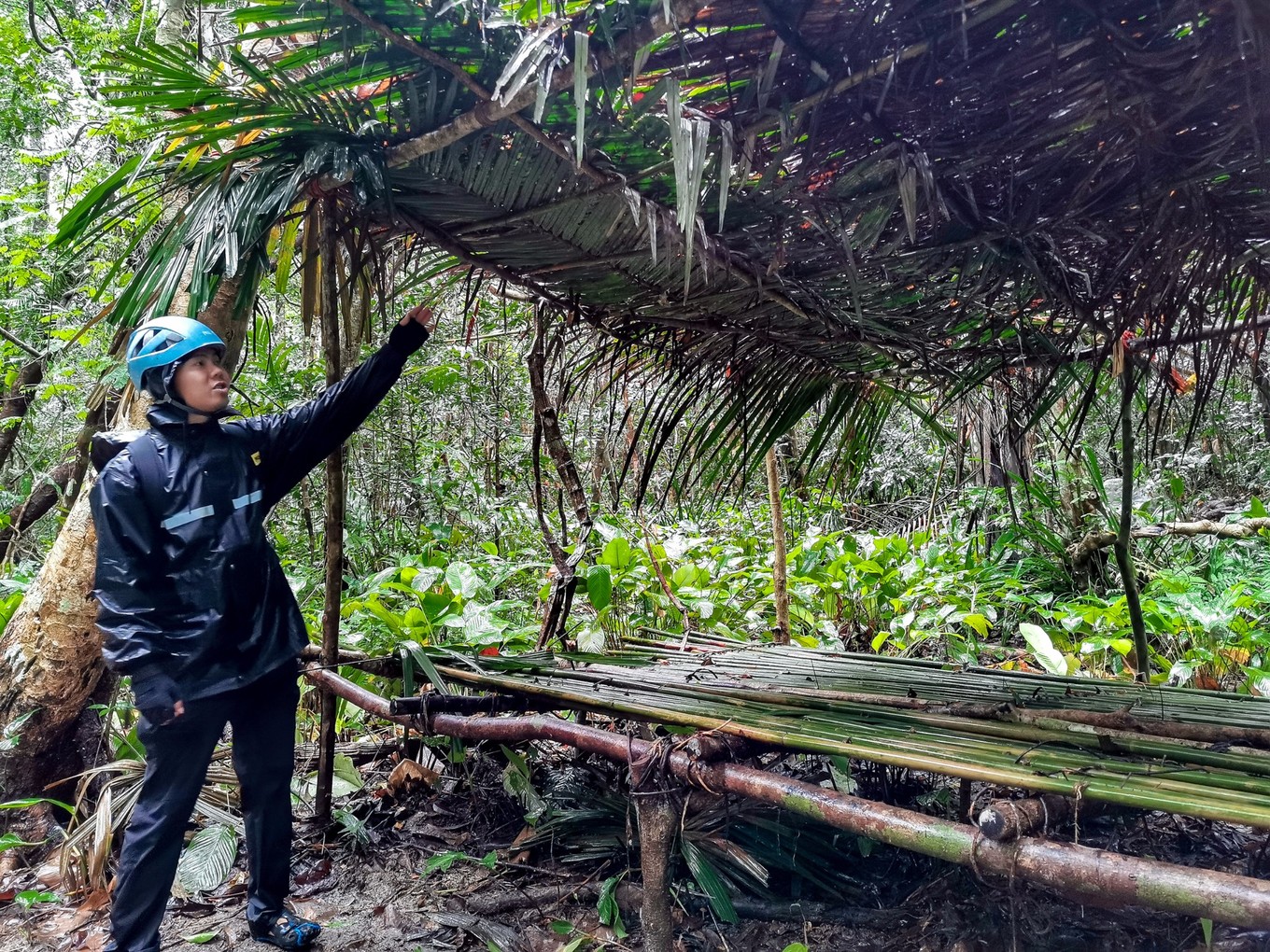 呀诺达雨林探险是什么,三亚呀诺达雨林正规吗