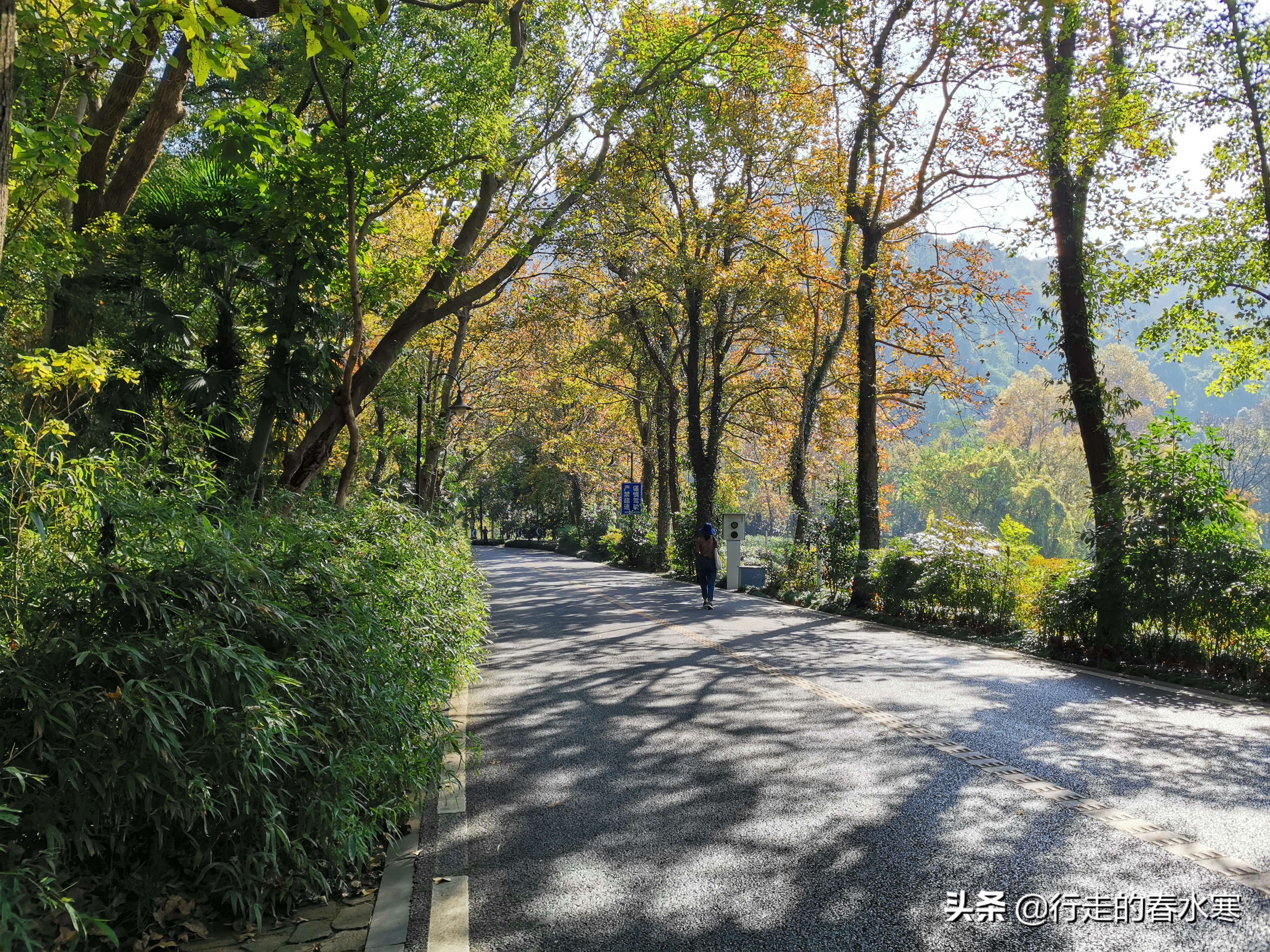 从九溪十八涧到西湖,九溪十八涧到云栖竹径多远