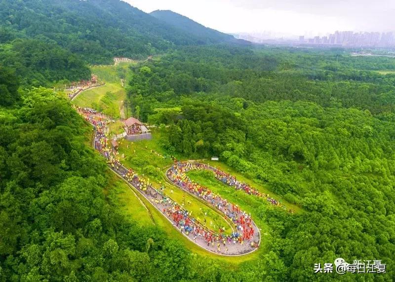 江夏指什么,江夏是哪里