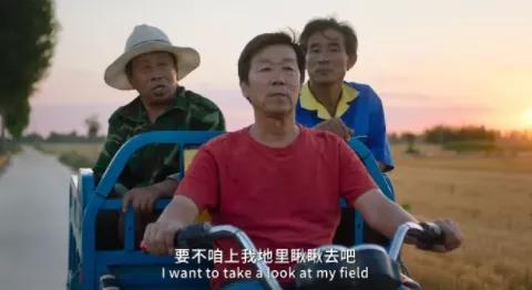 tvb年度最狠的女角色,年度最差女主角