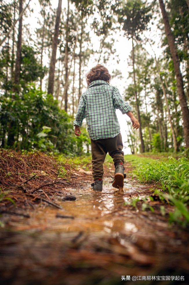 从唐诗宋词中取男孩名字,适合取男孩名的唐诗宋词