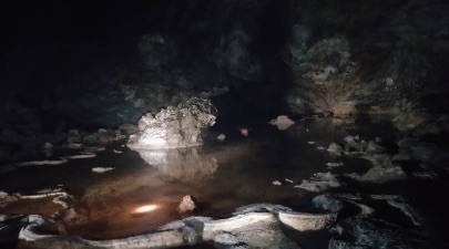 卖一两百一斤的鱼,卖一条鱼多少钱