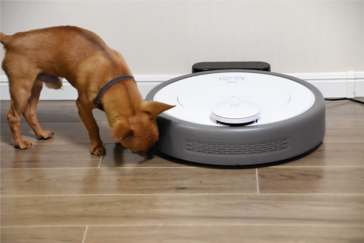 小狗扫地机器人r55,小狗扫地机器人r55pro维修