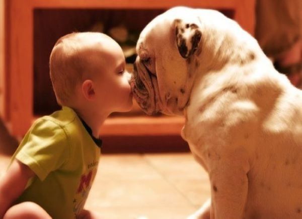 钟南山院士说养狗能增强免疫力,钟南山院士谈养宠物预防哮喘