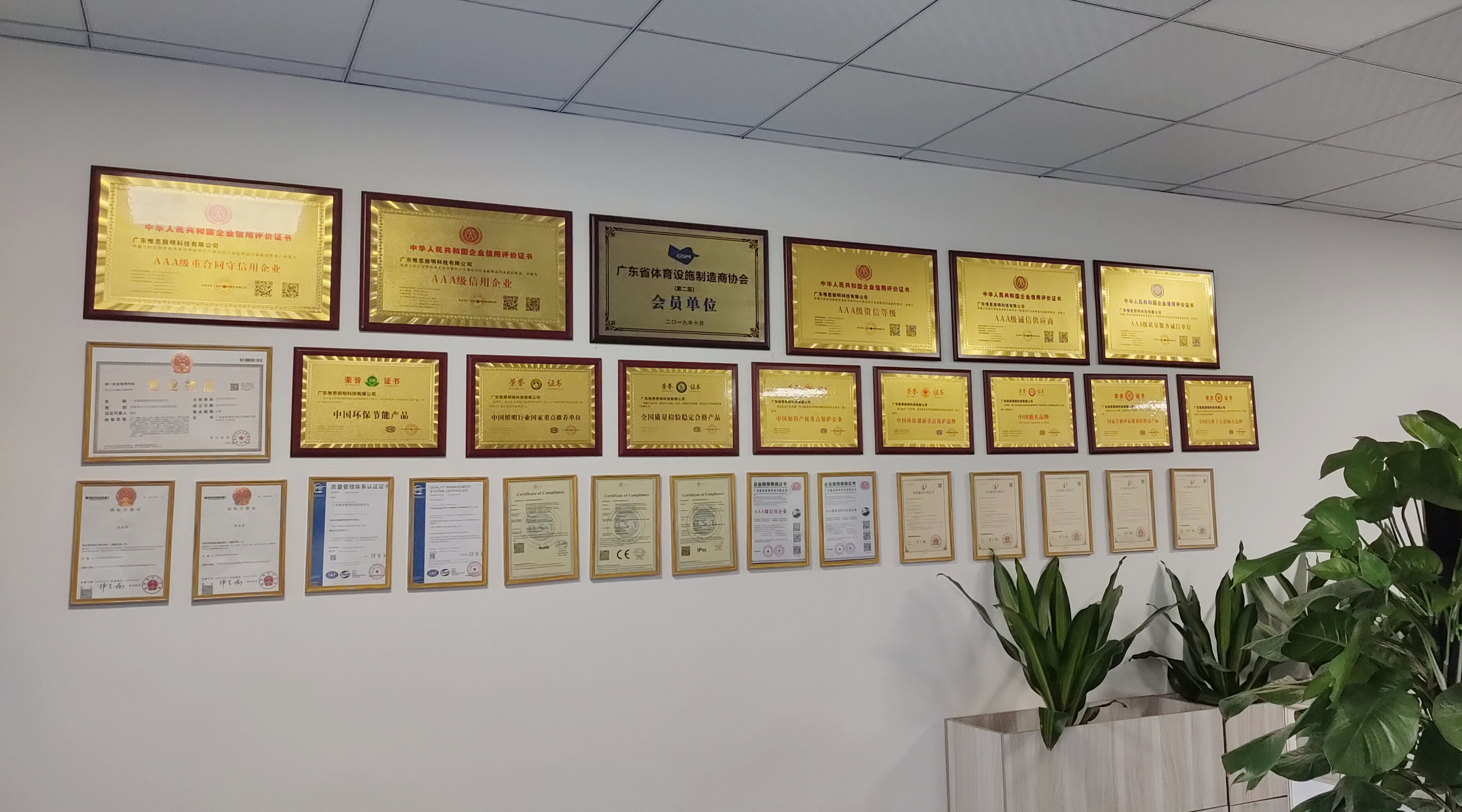 体育产业增长强劲，粤港澳大湾区LED球场照明灯具智敬未来