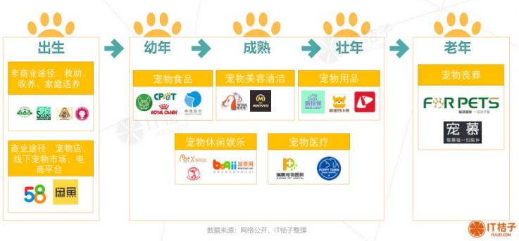 千亿宠物赛道视频,揭秘宠物行业内幕