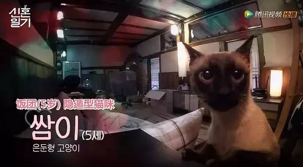 李现和杨紫的cp超话,比杨紫小的明星cp