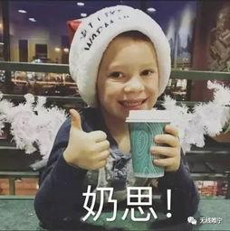 那些非常值得观看的宝藏动漫,盘点宝藏动漫