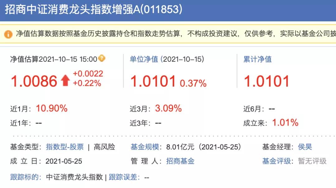 知名基金经理回撤,基金著名经理