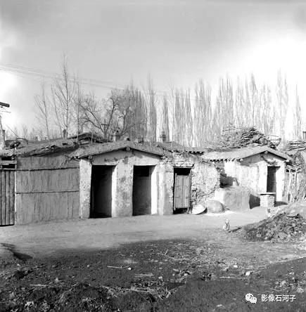 珍贵老影像大全,新疆珍贵老影像