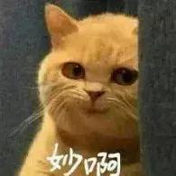 公共厕所的马桶会传播疾病吗,公共厕所马桶会传播艾滋病毒吗