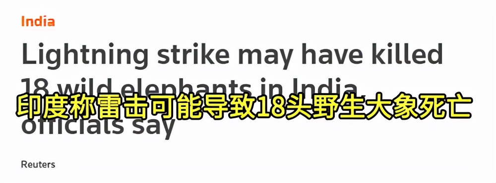 550只羊被雷劈死,500头羊被闪电劈死