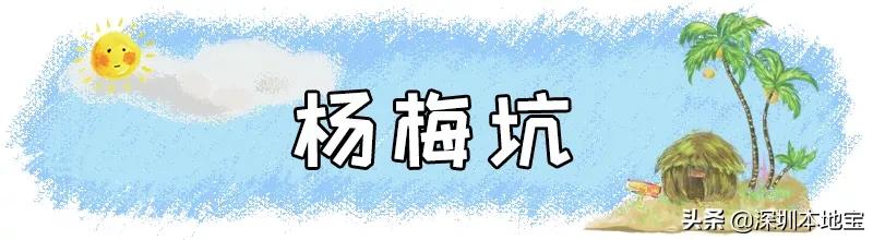 深圳完全免费的十大景点,深圳10大免费景点上集