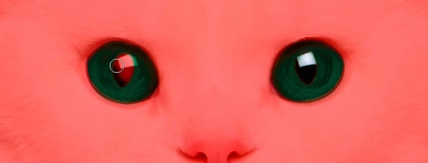 怎么在ps中更改照片底色,ps怎么改人的眼睛颜色