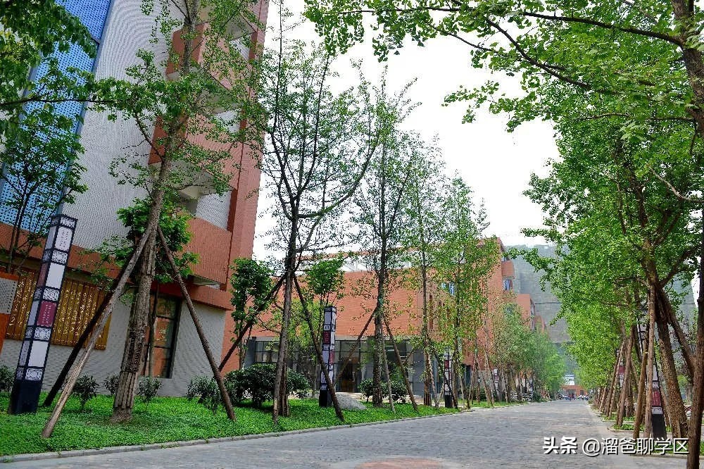 名校巡礼之泡桐树小学天府校区,名校巡礼