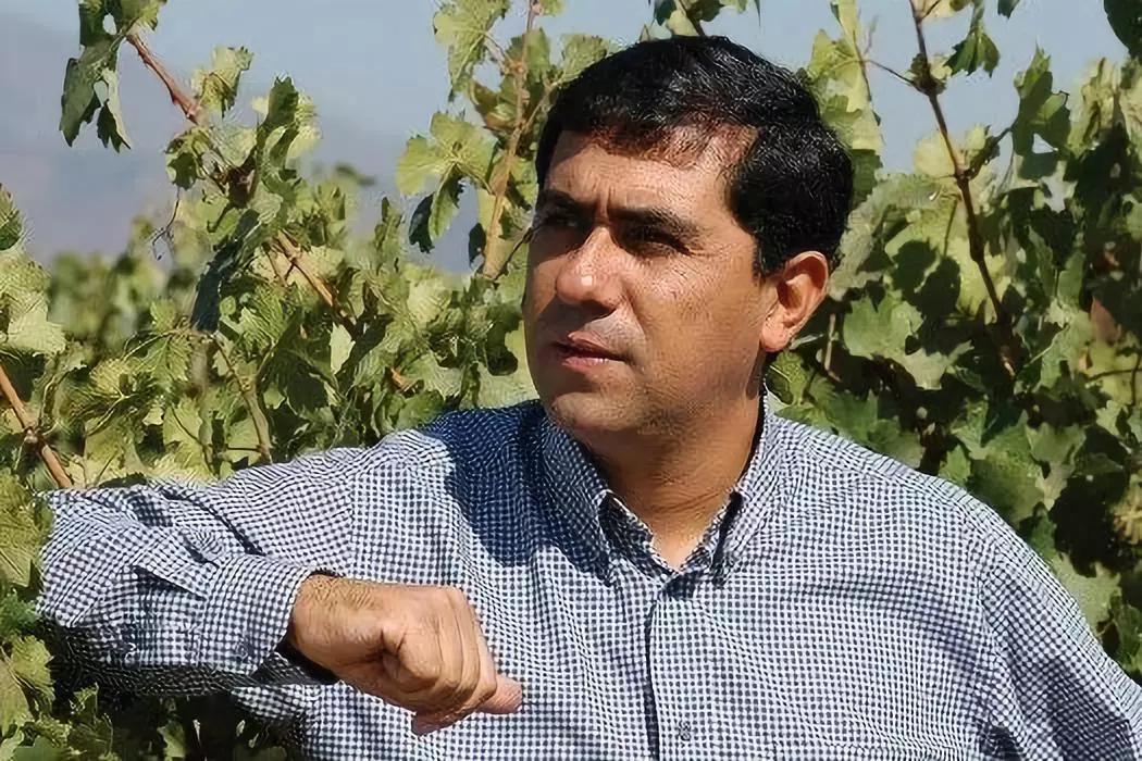 世界上最伟大的12款葡萄酒,世界上最伟大的酒窖