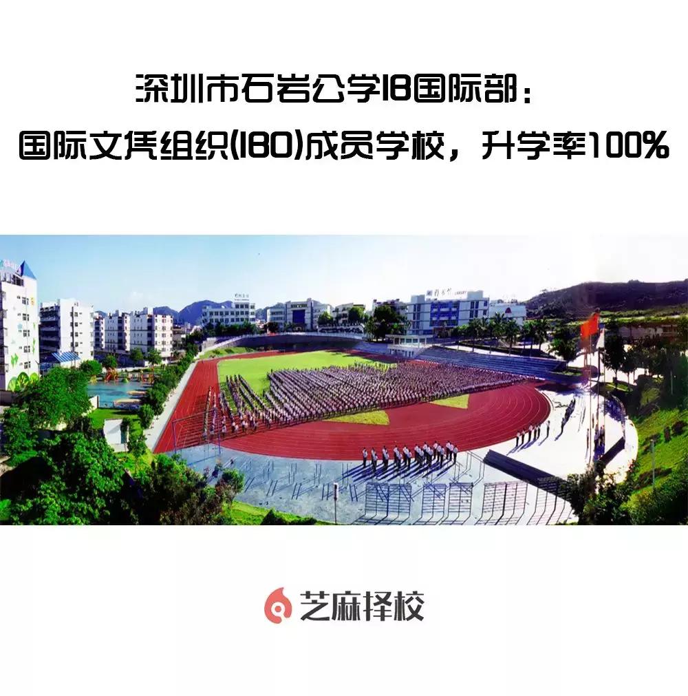 深圳ib国际学校排行榜,深圳市石岩公学ib国际部