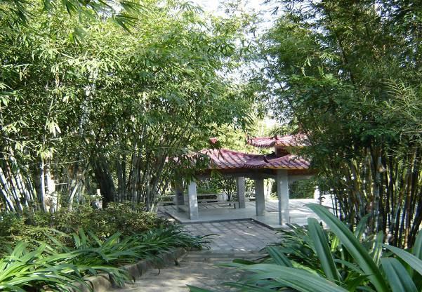 珠海有一个面积最大的观竹景区，,也是珠海最佳的氧吧