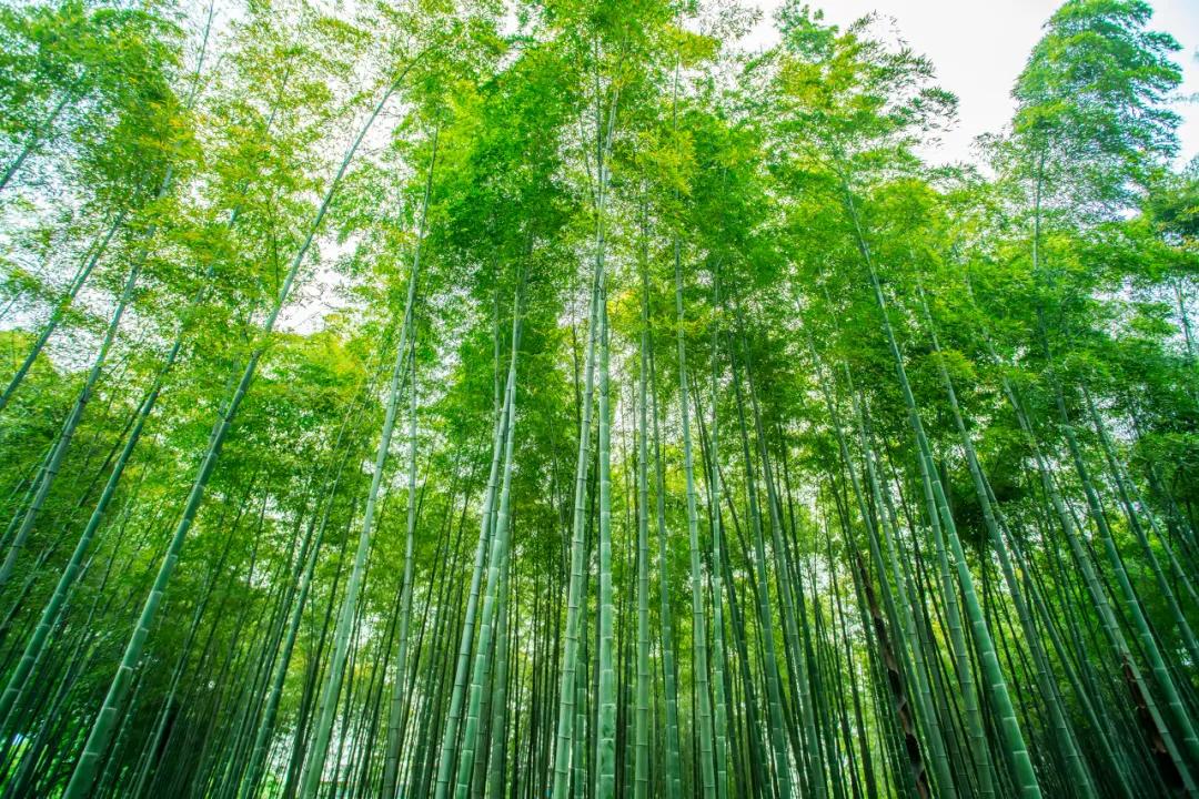 村在中国是什么时候开始有的,中国的村庄是什么时候命名的