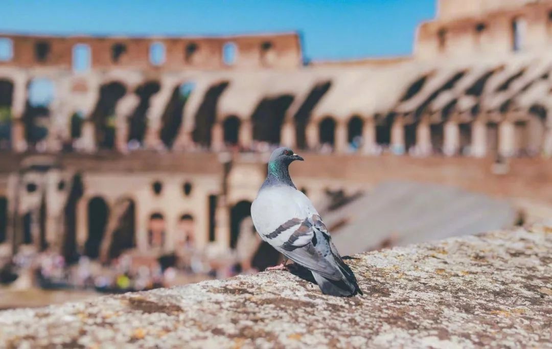 周杰伦mv美国取景地打卡,周杰伦隐藏新歌mv