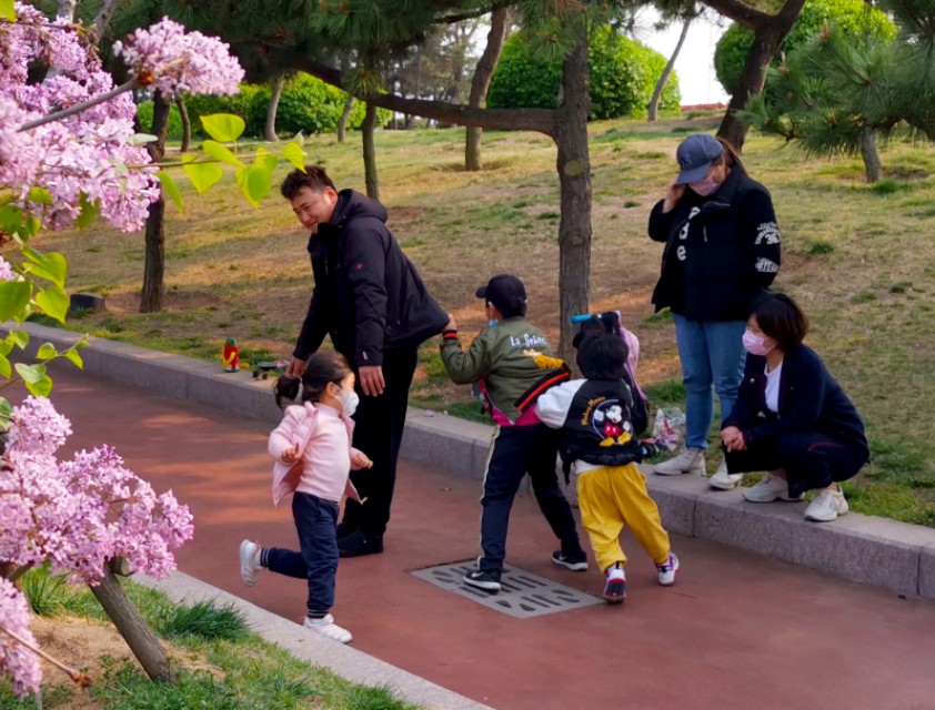 面朝大海春暖花开的背景音乐,面朝大海春暖花开歌曲