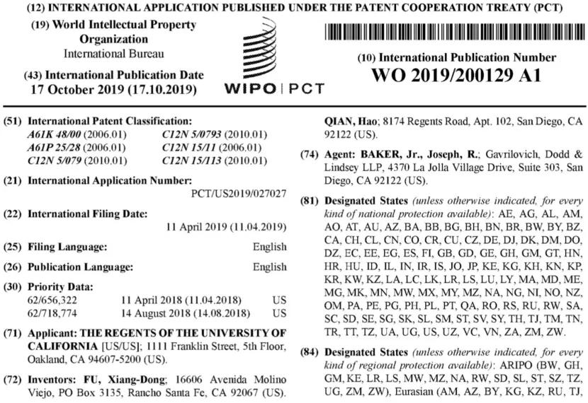 杨辉指付向东讲的与发表的不同