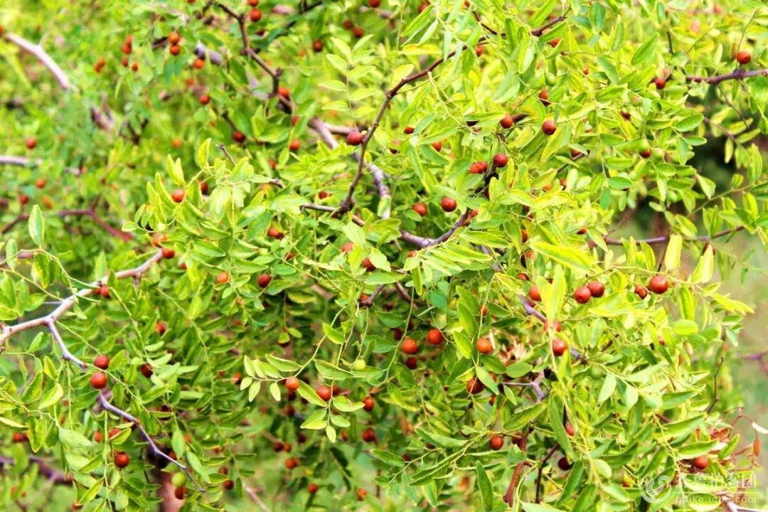 7-8月份推荐海岛旅游,秋天适合旅游的海岛