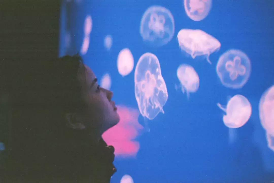 九州农家,九州山青水秀视频