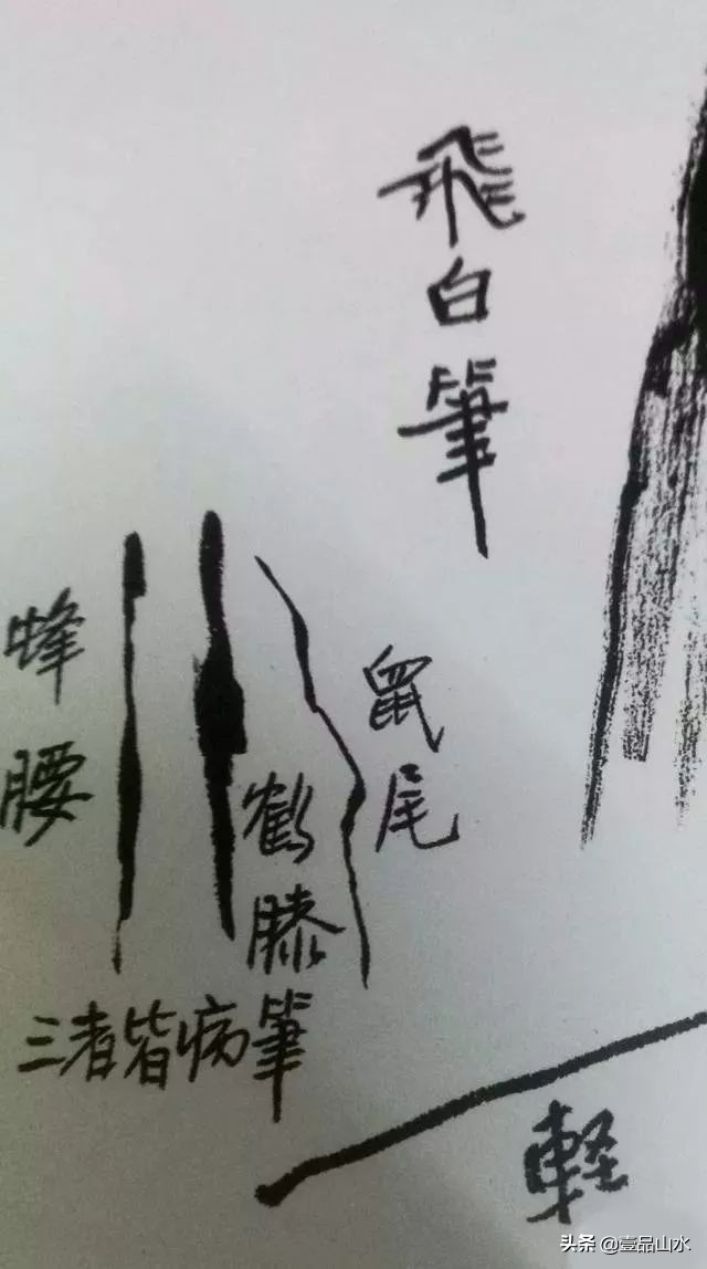中国山水画技法详细步骤与技巧,山水画初学者的入门基础画树技法