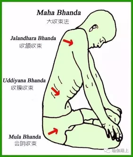 瑜伽练习中，如何启动收颔收束（喉咙锁）-经典