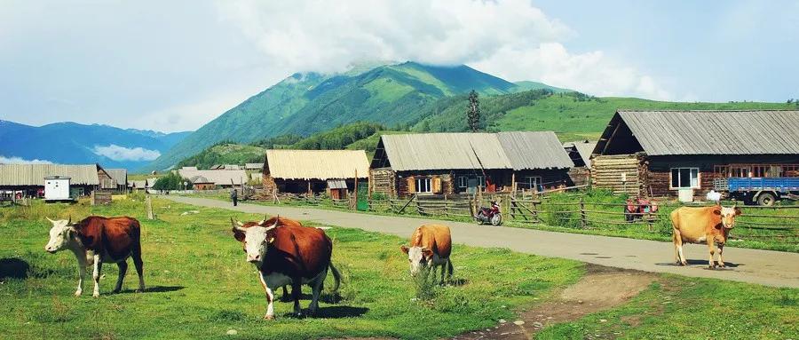 当下小成本创业的方向和前景,50个冷门创业小生意项目