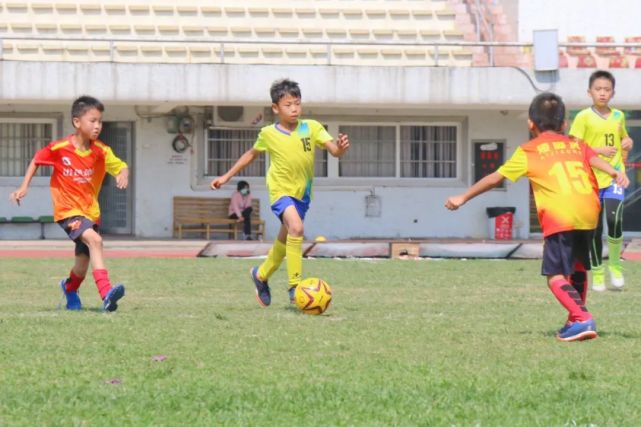 中国的足球青训vs校园足球,足球青训和校园足球