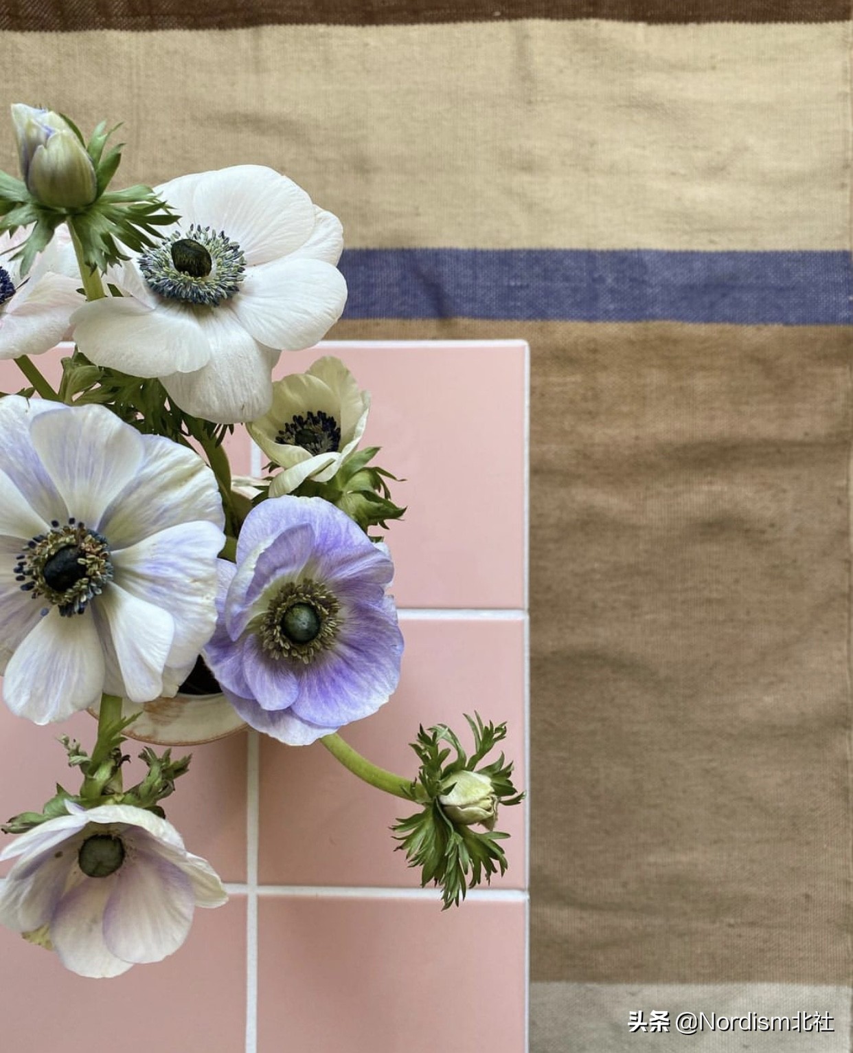 《空间》第29期：丹麦“小松饼”一家的甜蜜生活