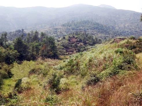 瓯窑遗址分布,苍南古遗址