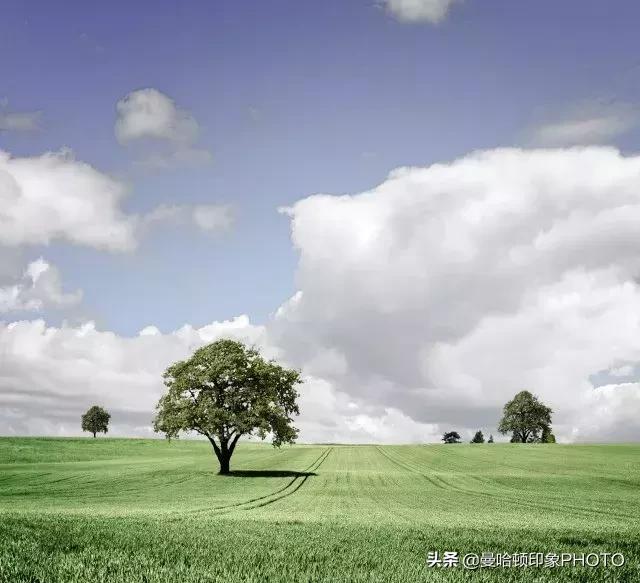 ps里cmyk曲线调色原理及技巧,ps曲线实用技巧学会了吗