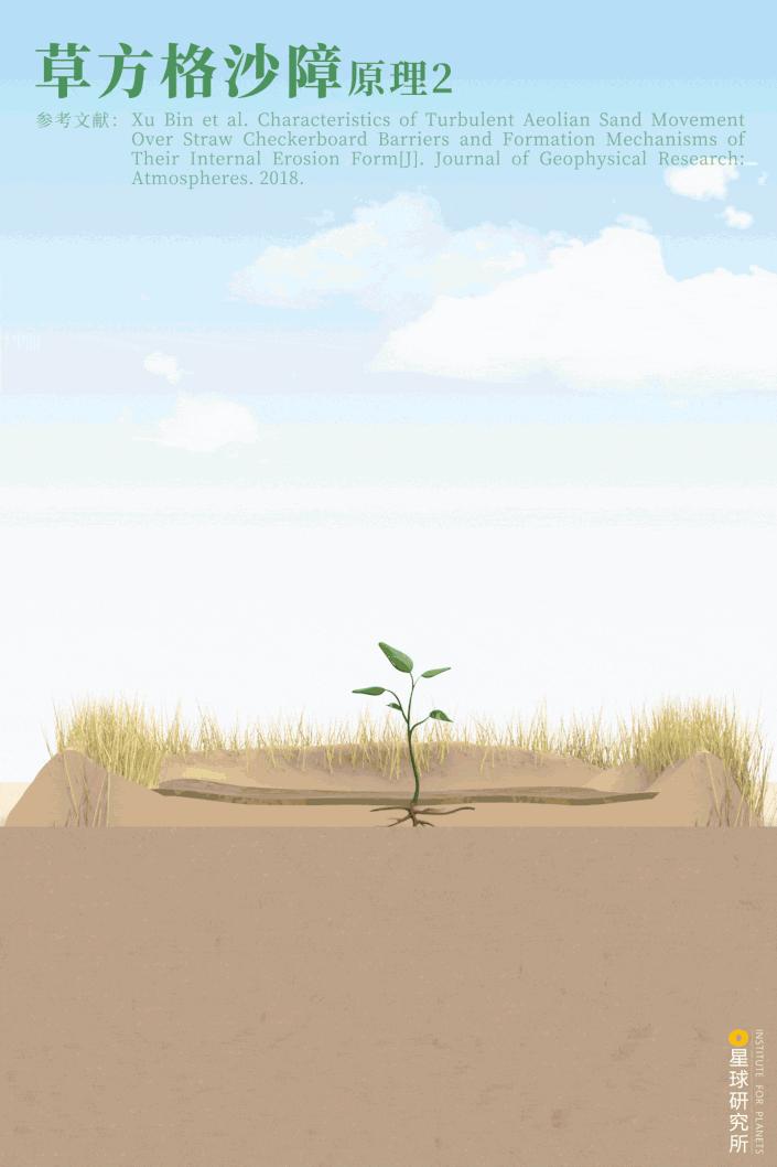 中国植树造林面积,中国植树造林成果国外有什么看法